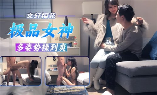 文轩探花.极品女神多姿势操到爽