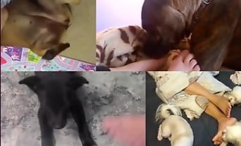 在家里观看辣狗色情合集激发女人性欲