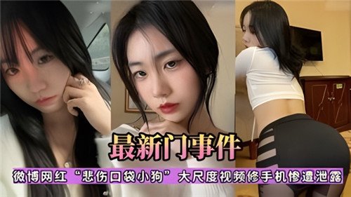 网传微博.网红悲伤口袋小狗大尺度视频修手机惨遭泄露