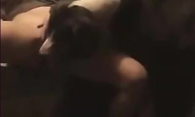 在镜头前与狗进行恋足癖