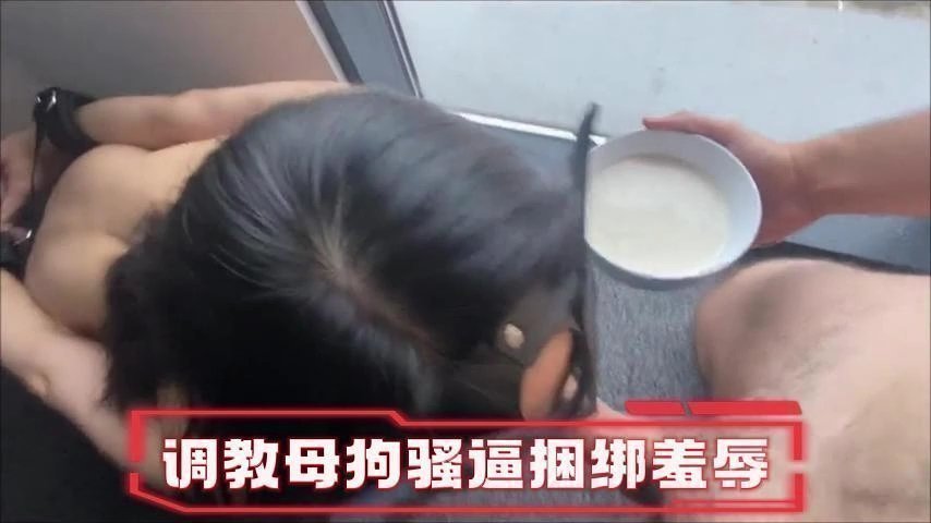 调教母狗一边吃鸡一边喝豆浆