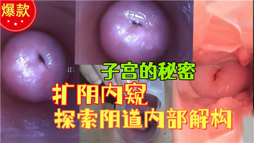 子宫的秘.密扩阴内窥探索阴道内部结构