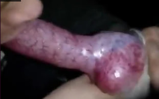 长着一张漂亮脸蛋的男人在吸吮狗的阴茎